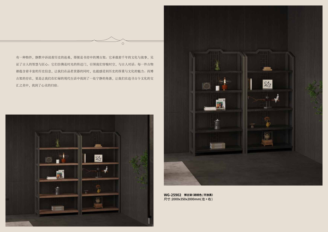 Kệ trang trí 那便是书房中的 - WG-25902 - ảnh chi tiết